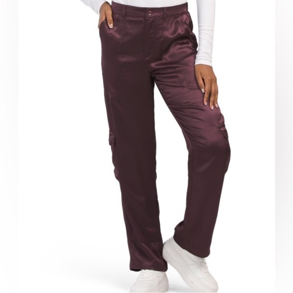 Young Fabulous & Broke Pants - NWT Young Fabulous & Broke Findlay Satin Cargo Carpenter Pants in Raisin - M
